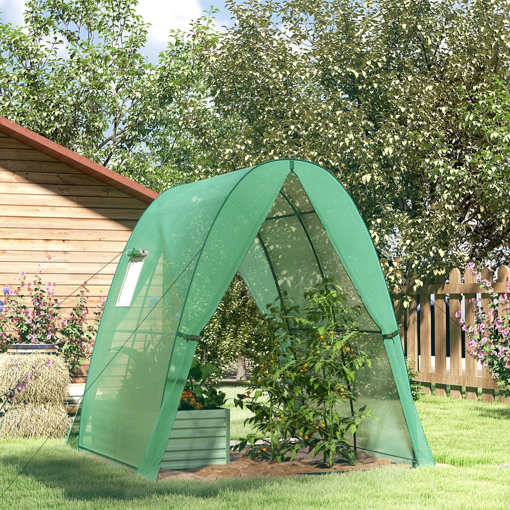Drivhus med rulledør, 2 vinduer, vintersikkert stålfilmdrivhus, drivhus til altan, have, tomathus 180 x 180 x 200 cm, tomatdrivhus til tomater, grøntsager, blomster, grøn